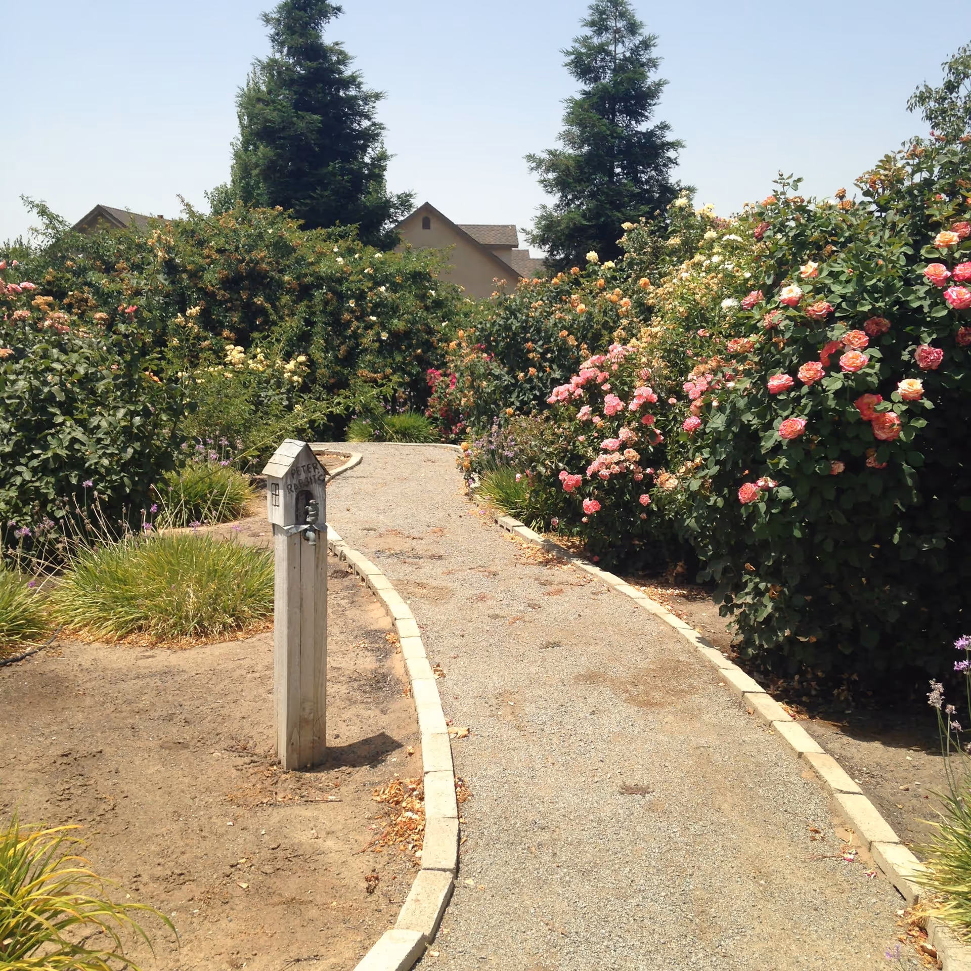 Photo 3 of Evergreen Gardens