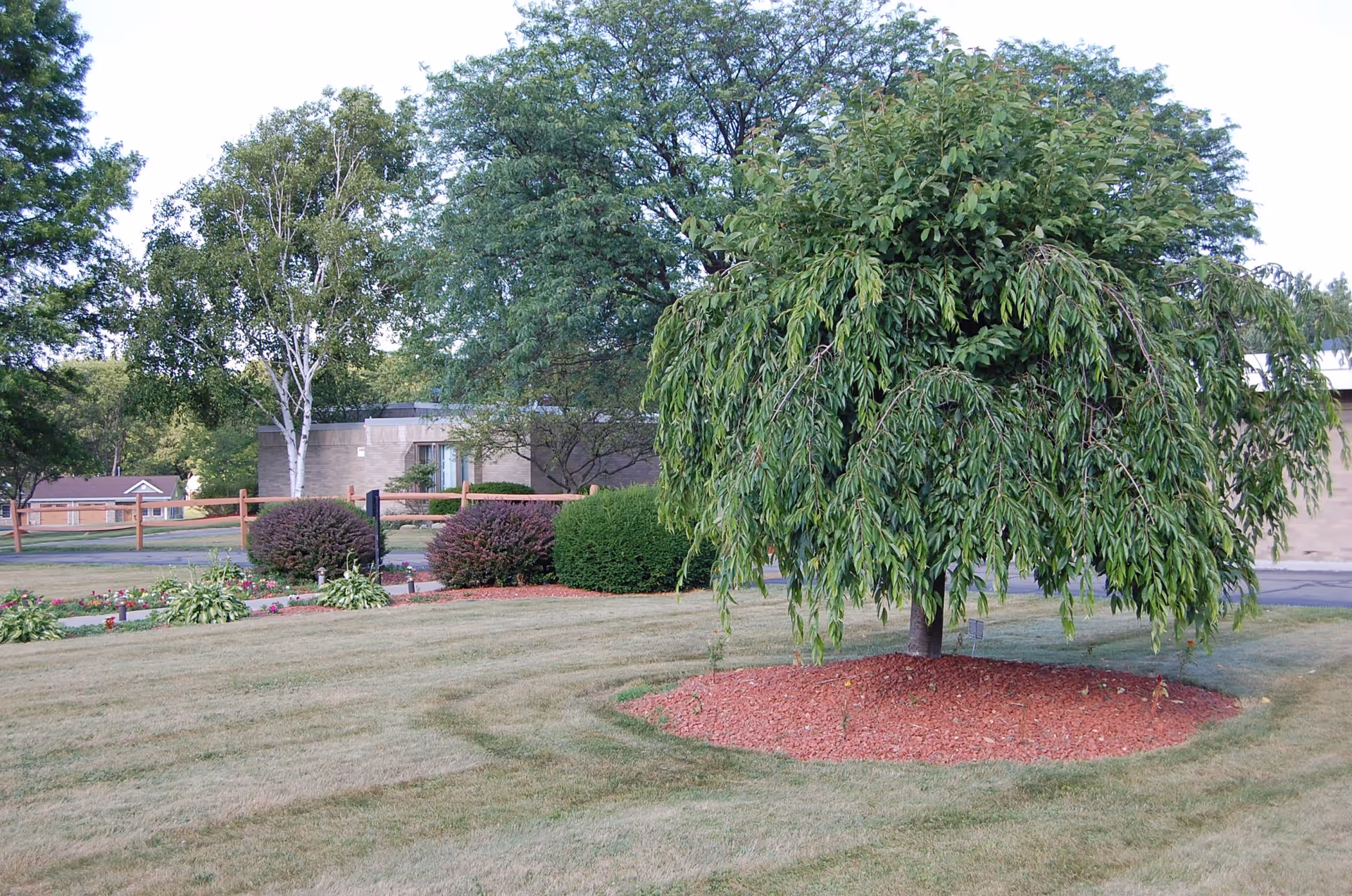 Photo 3 of Quality Life Services - Chicora