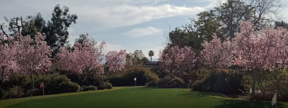 Photo 12 of Nikkei Senior Gardens