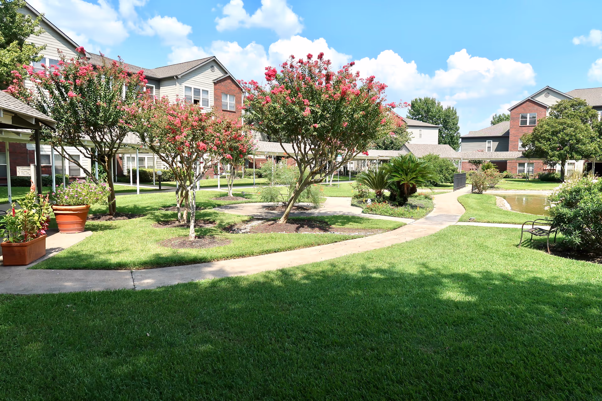 Photo 3 of Lone Star Living