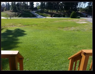 Photo 2 of Solace Manor #1