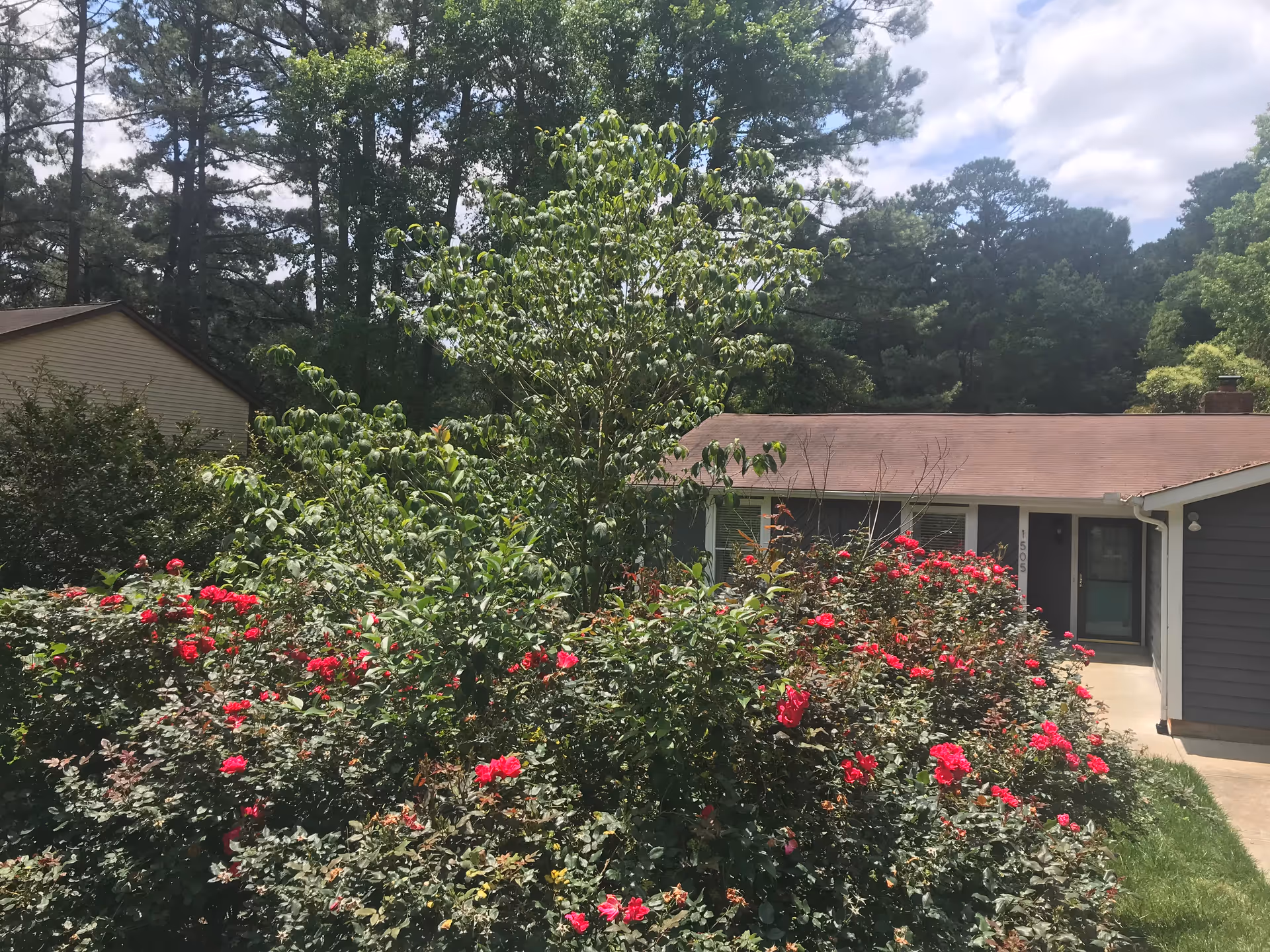 Photo of Lakepark Family Care Home
