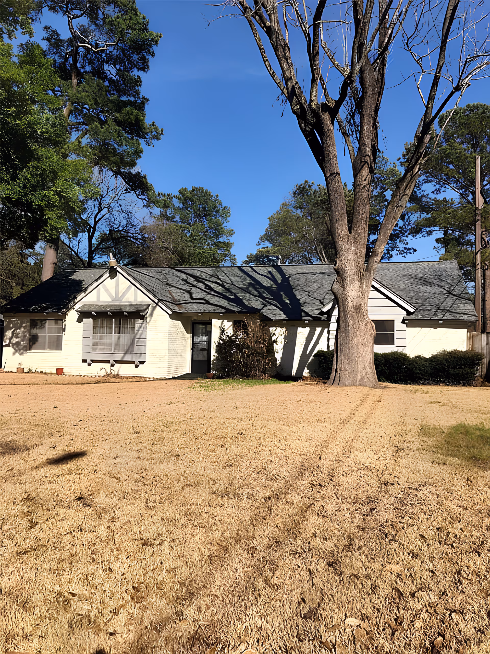Photo 2 of Marigold Cottage PCH at Waller