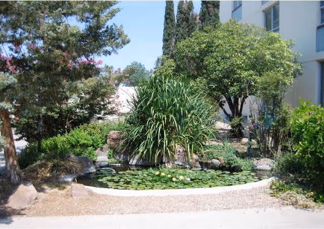 Photo 2 of Landmark at Desert Gardens