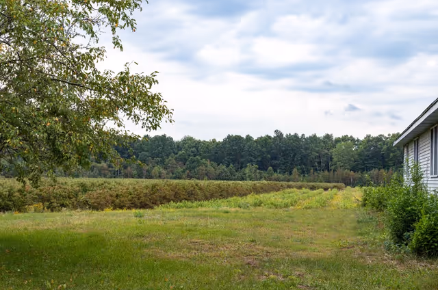 Photo of Woodland Gardens