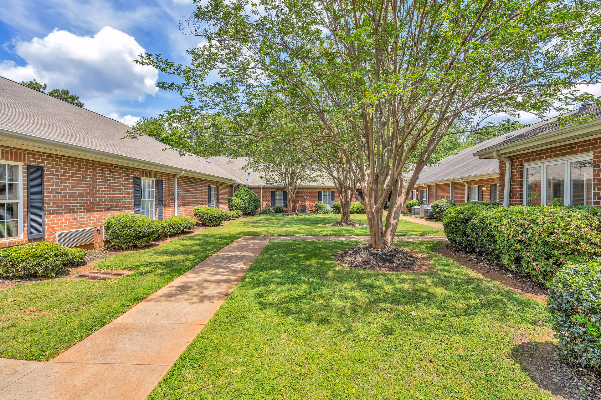 Photo 4 of Windsor House Greenville