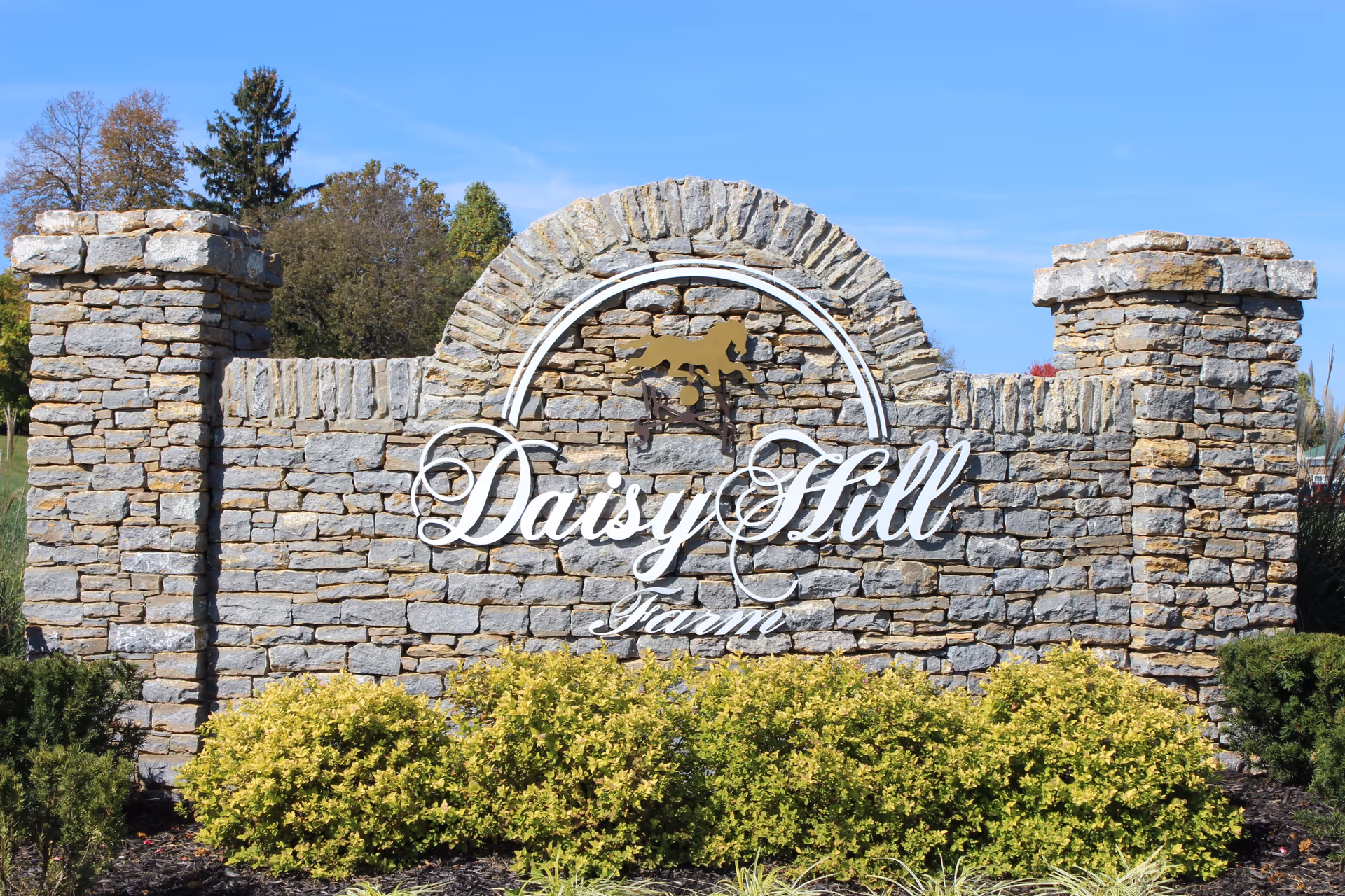 Photo 11 of Daisy Hill Senior Living