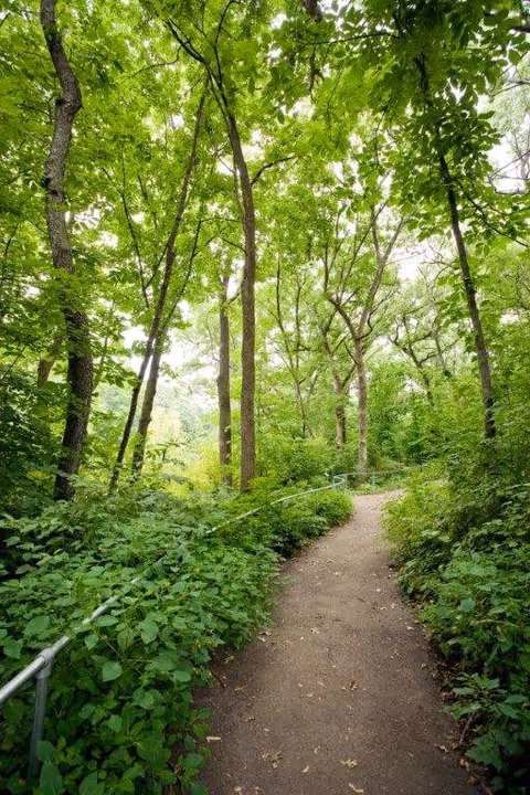 Photo of Oakwood Village University Woods