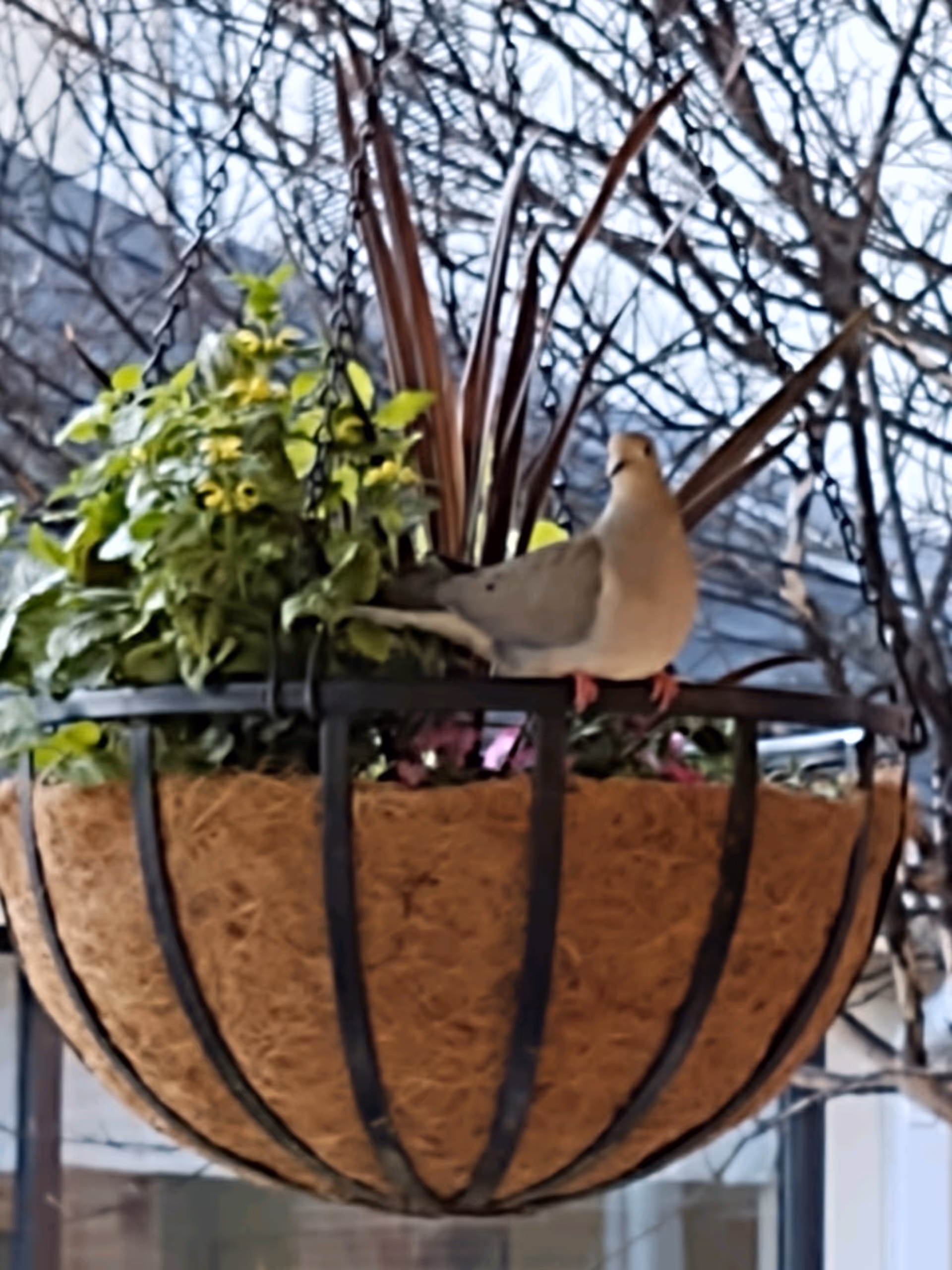 Photo 8 of Marian Manor Retirement Community