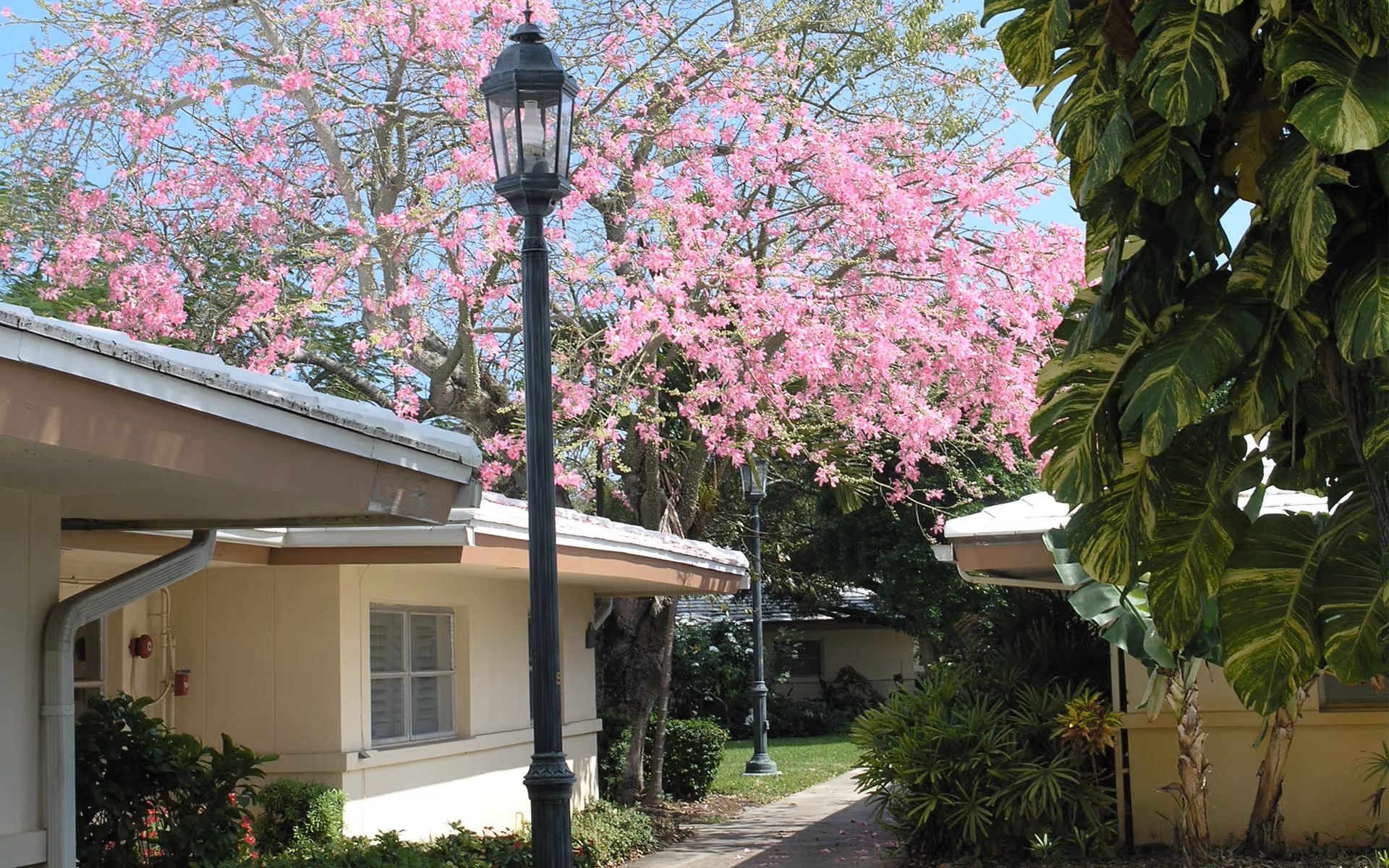 Photo of John Knox Village