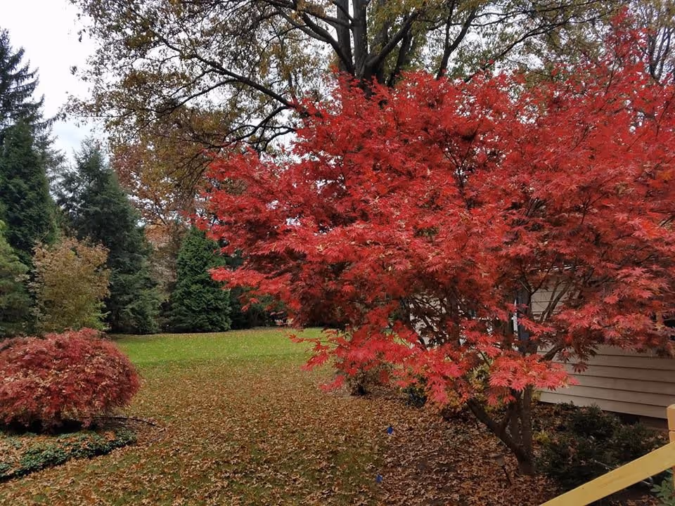 Photo 4 of Precious Memories, LLC