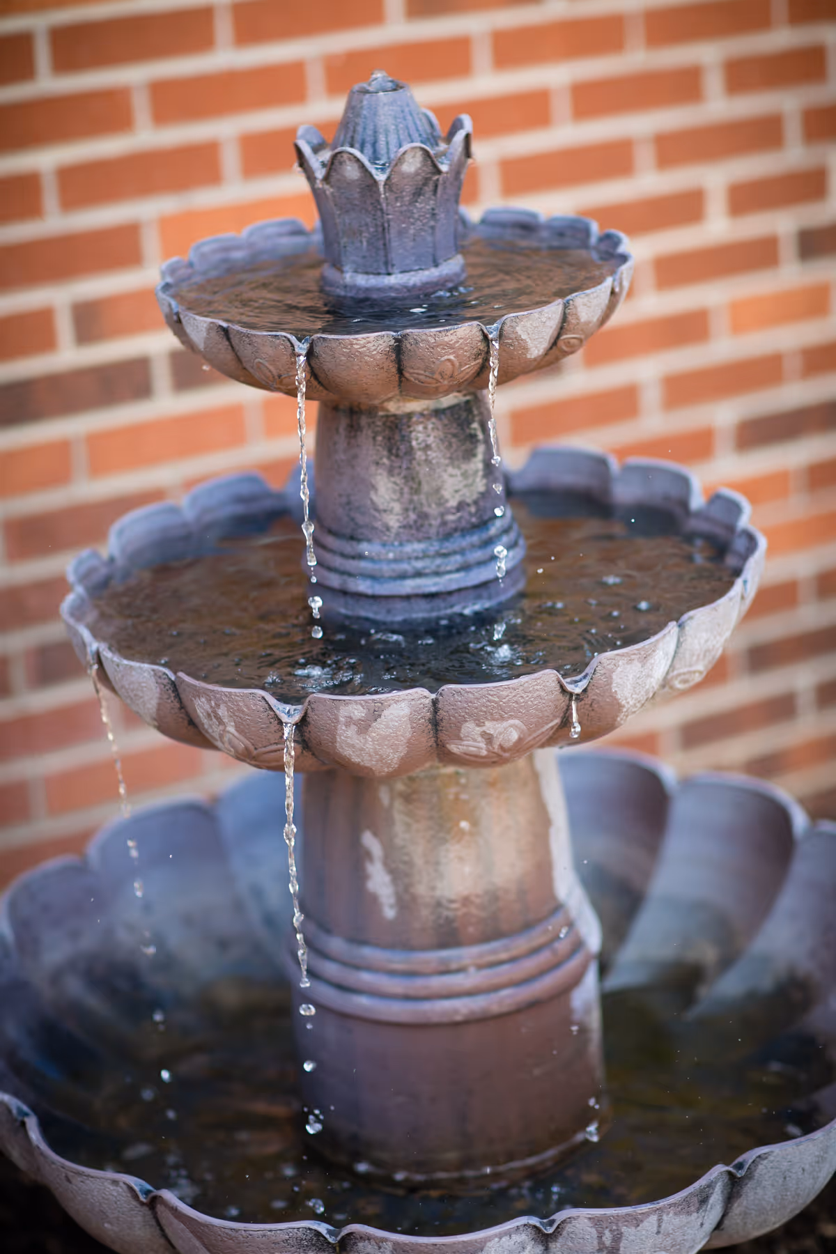 Photo 30 of Walnut Ridge Assisted Living