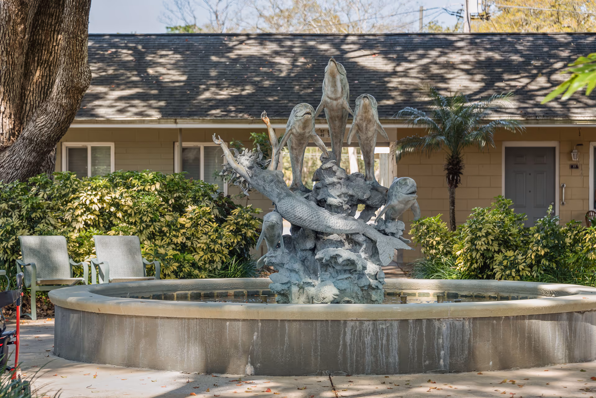 Photo 12 of Blue Palms Senior Living of Deland