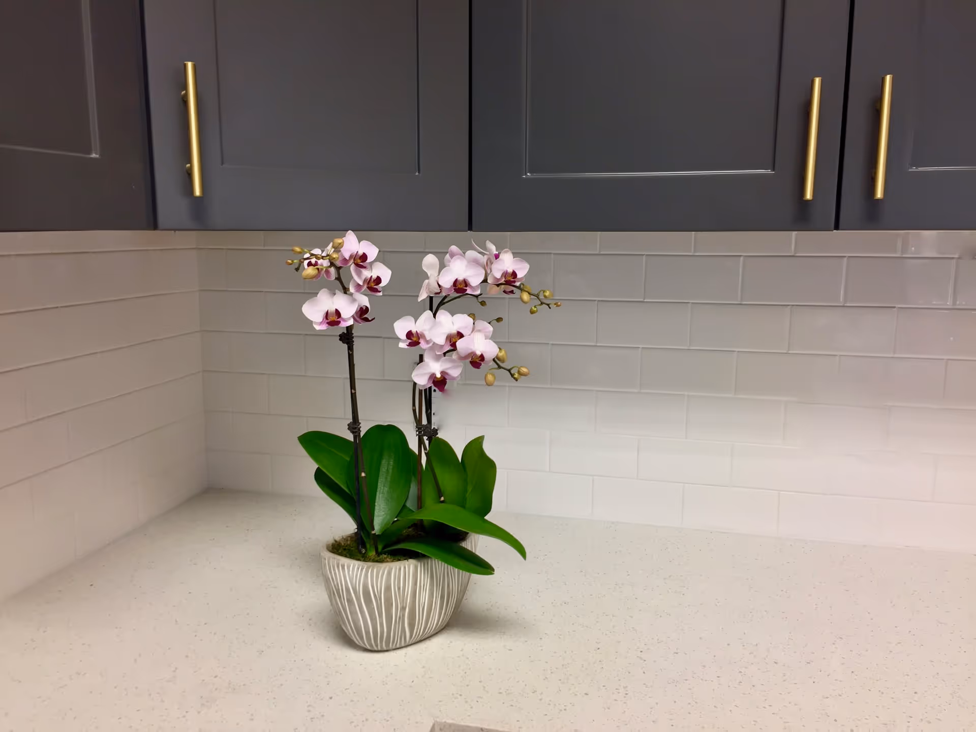 Photo 19 of The Memory Spa