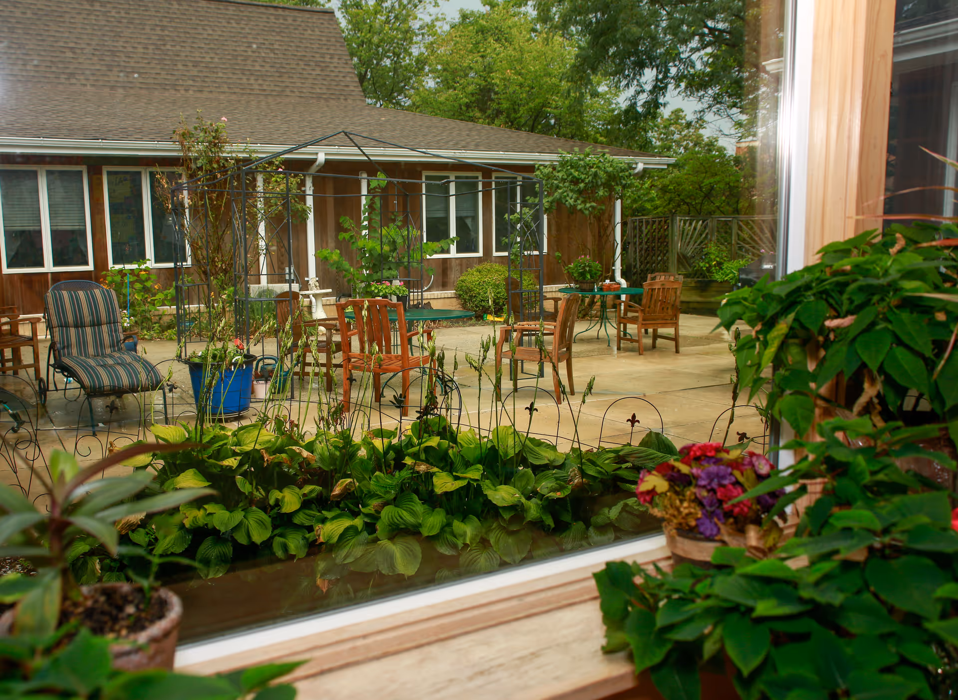 Photo 2 of Winter Growth - Marge's Memory Care
