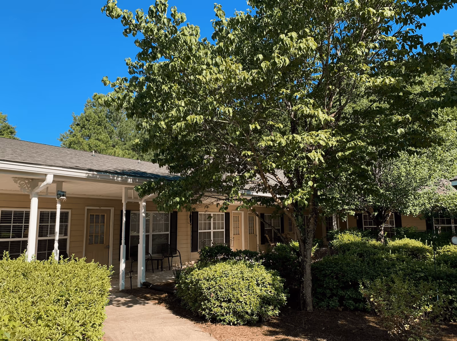 Photo of Sunabella of Towne Lake