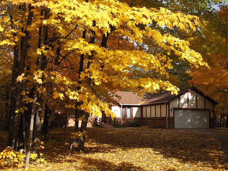 Photo of Eden House Senior Assisted Living AFC