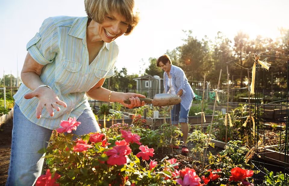 Photo of Southern Springs by Del Webb- 55+ Retirement Community