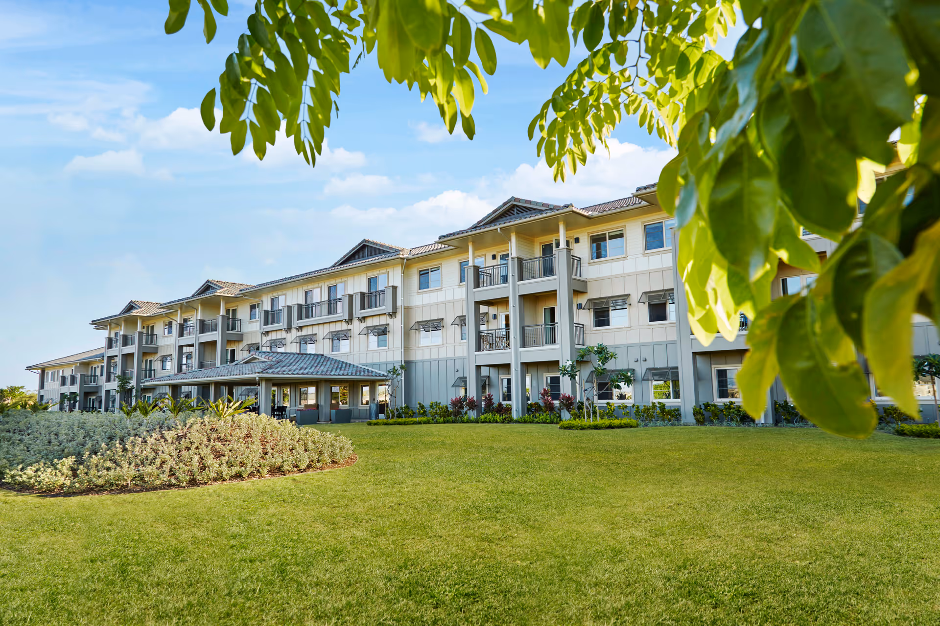 Photo of 'Ilima at Leihano