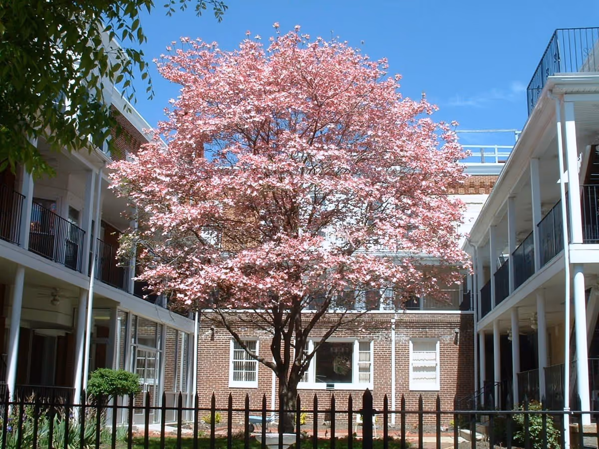 Photo 3 of Penn Home