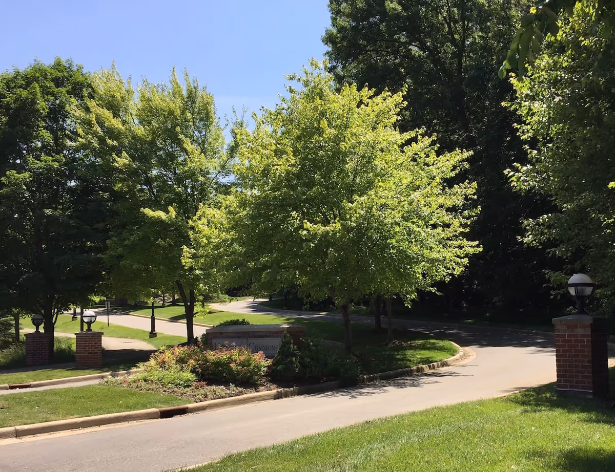 Photo 17 of University Commons