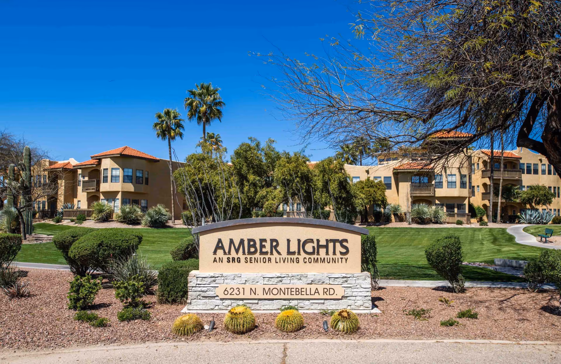 Photo of Amber Lights