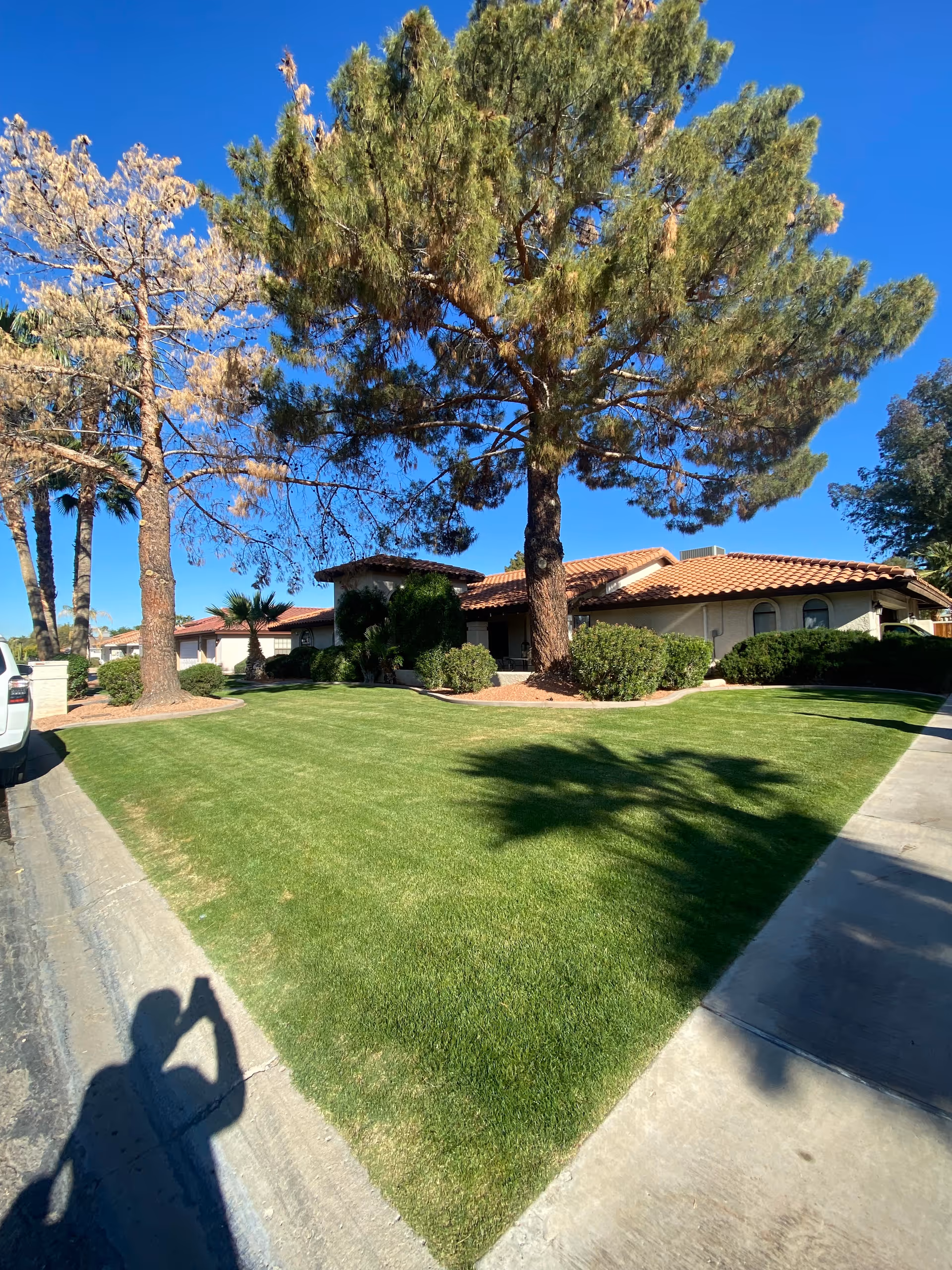 Photo of Vandermeyer Senior Homecare LLC.