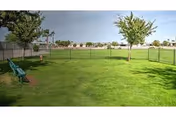 Photo 14 of The Forum at Desert Harbor