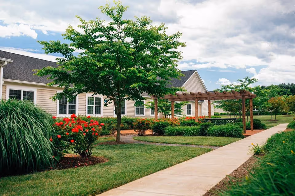 Photo 7 of Spring Arbor of Winchester
