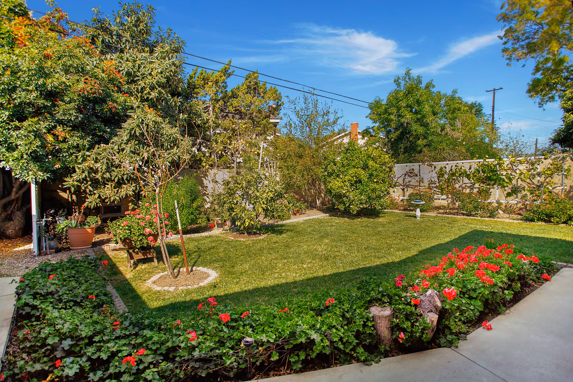 Photo 3 of Celestial Garden