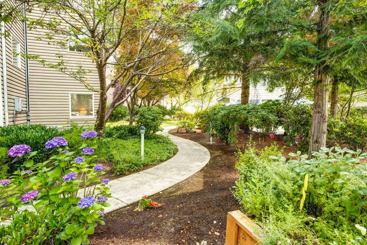 Photo 11 of The Gardens at Marysville