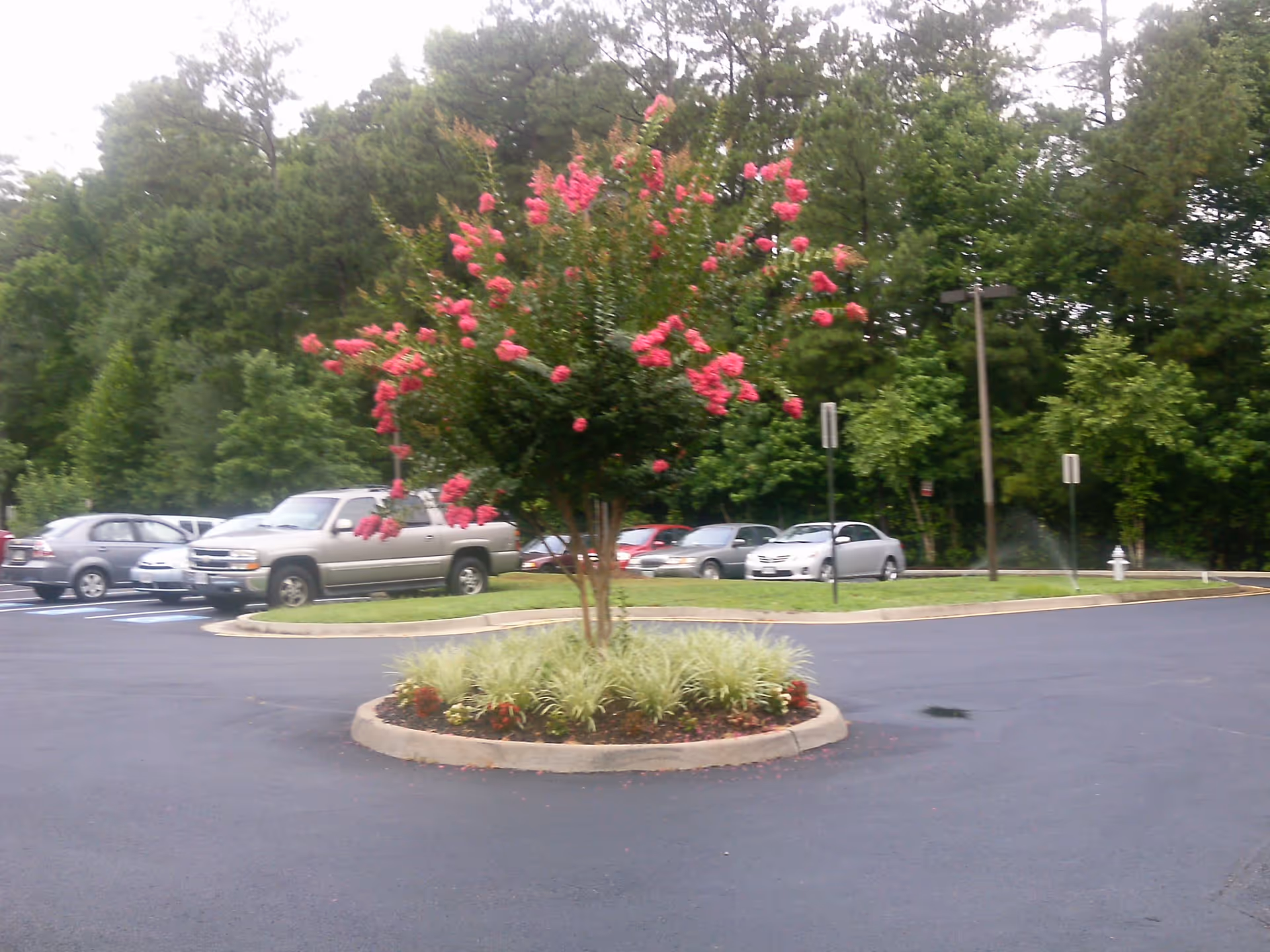 Photo 3 of Sandston Plateau Senior Apartments