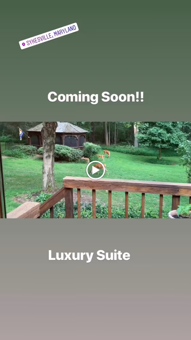 Photo 7 of New Life Assisted Living Sykesville