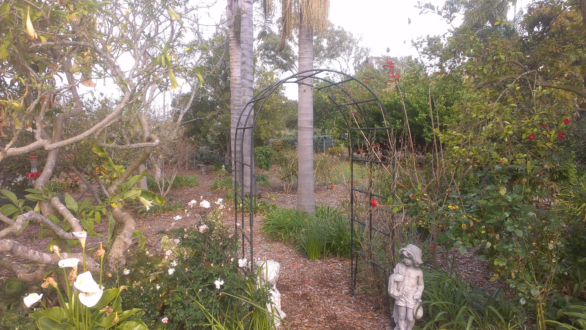 Photo 5 of Avocado Gardens - CLOSED