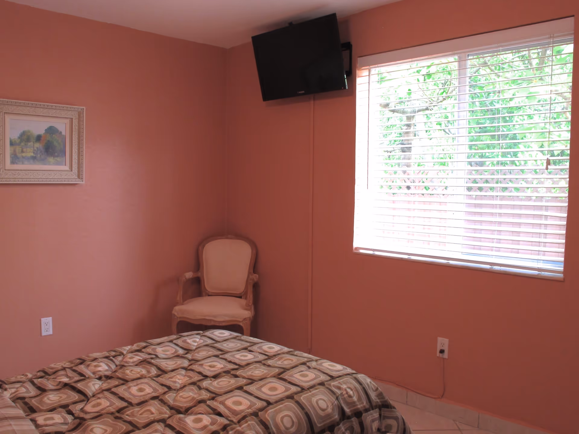 Photo 4 of My New Oasis