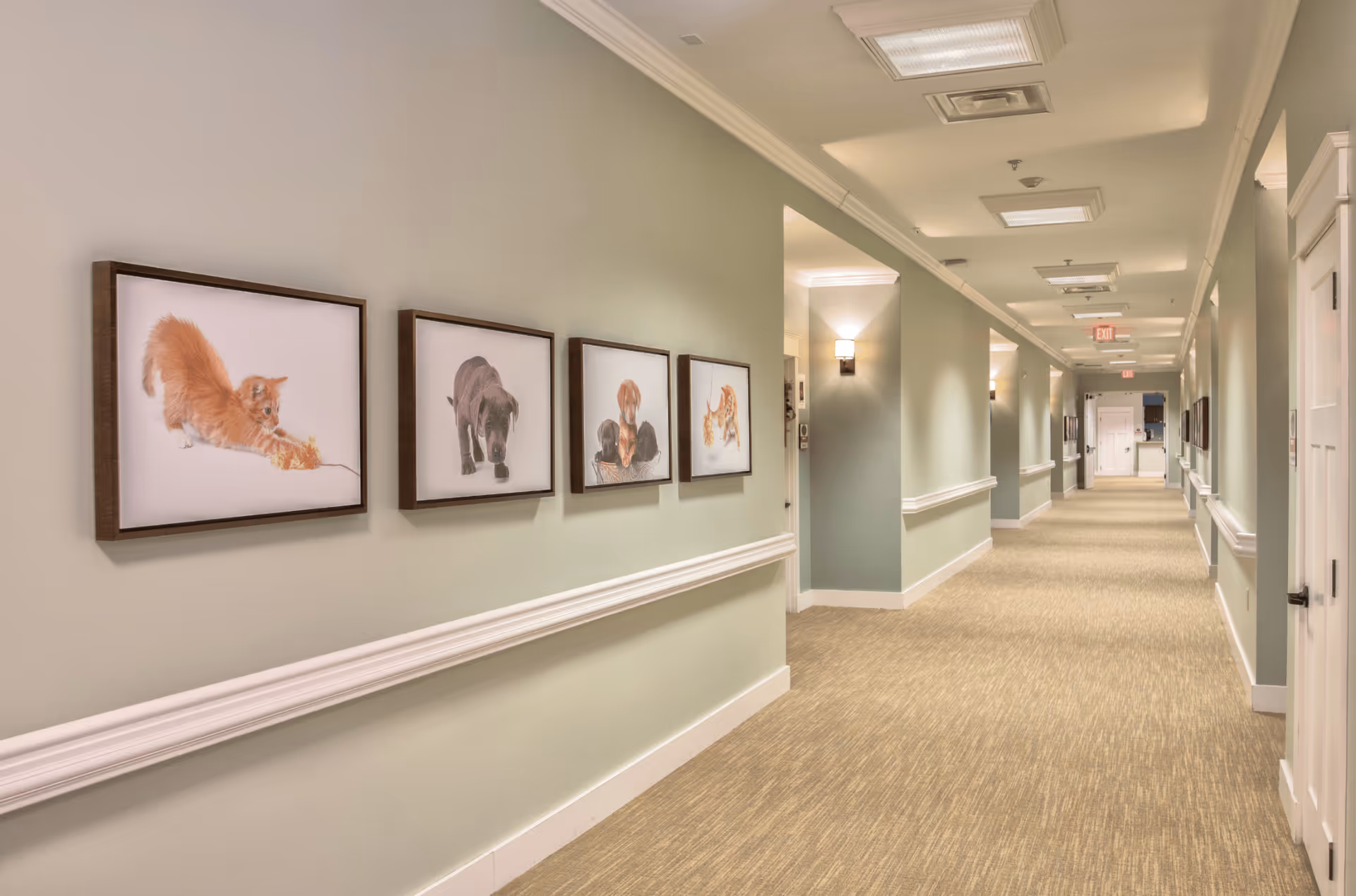 Photo 15 of Clover Hill Senior Living
