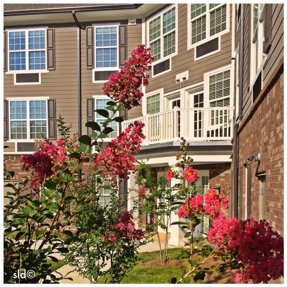 Photo 12 of Canterfield Senior Living