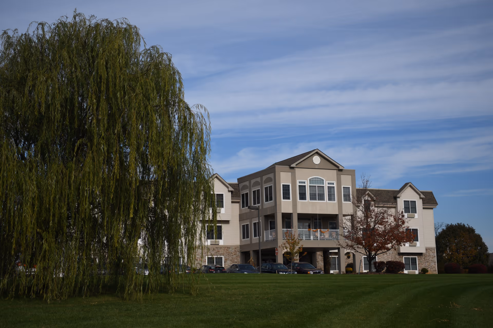 Photo of The Willow