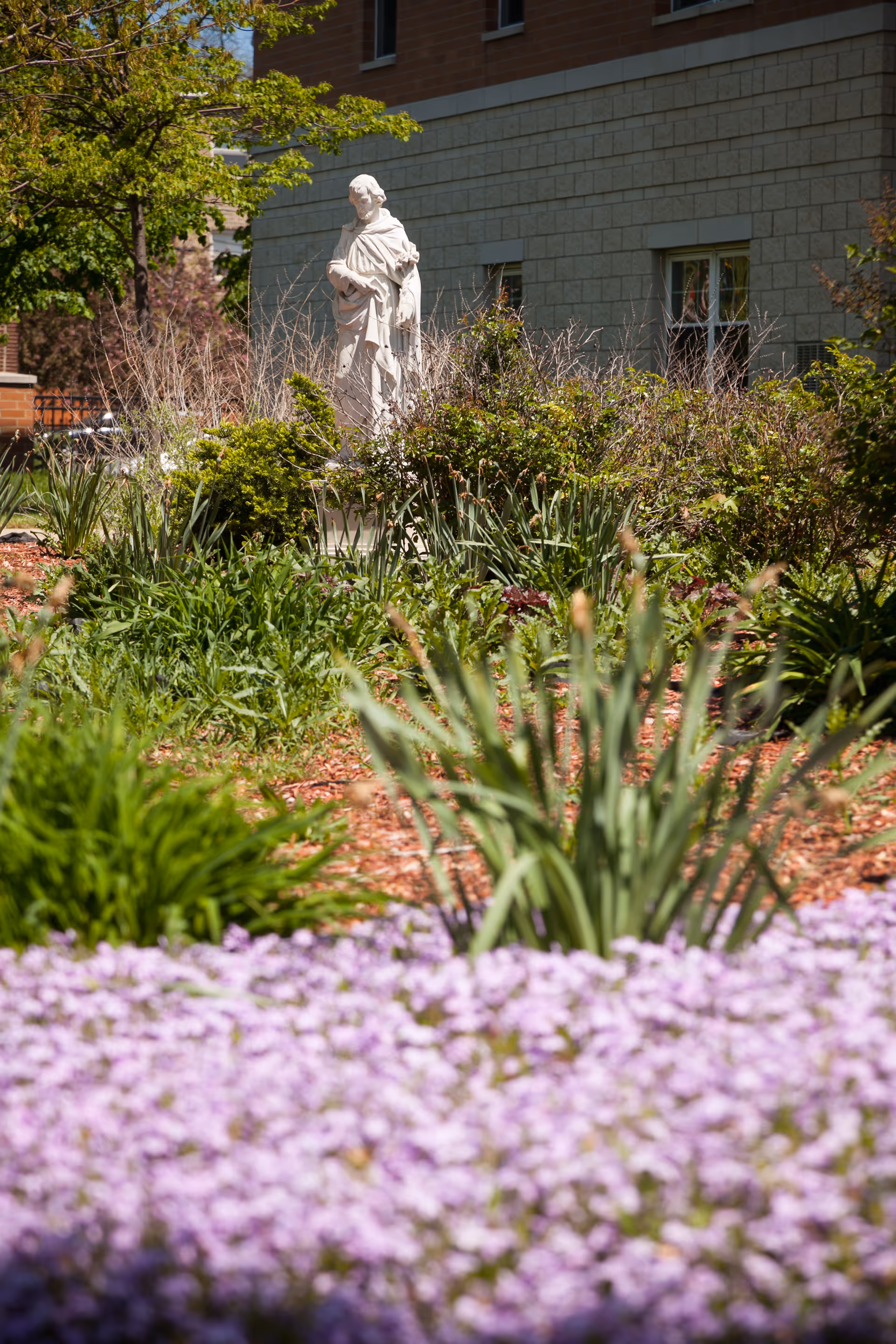Photo 12 of St. Joseph Village of Chicago