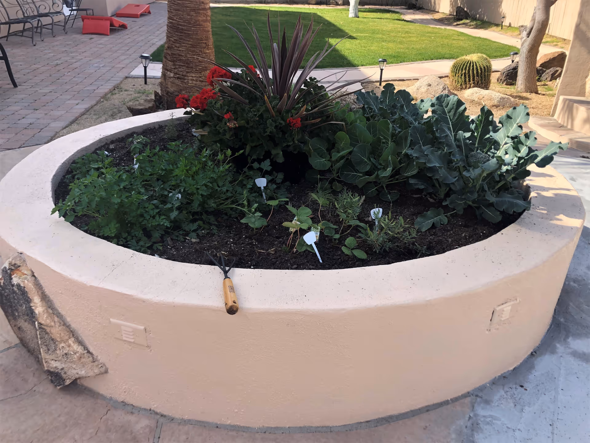 Photo 13 of Bella Vita Assisted Living at Las Palmaritas