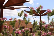 Photo 7 of La Posada at Green Valley
