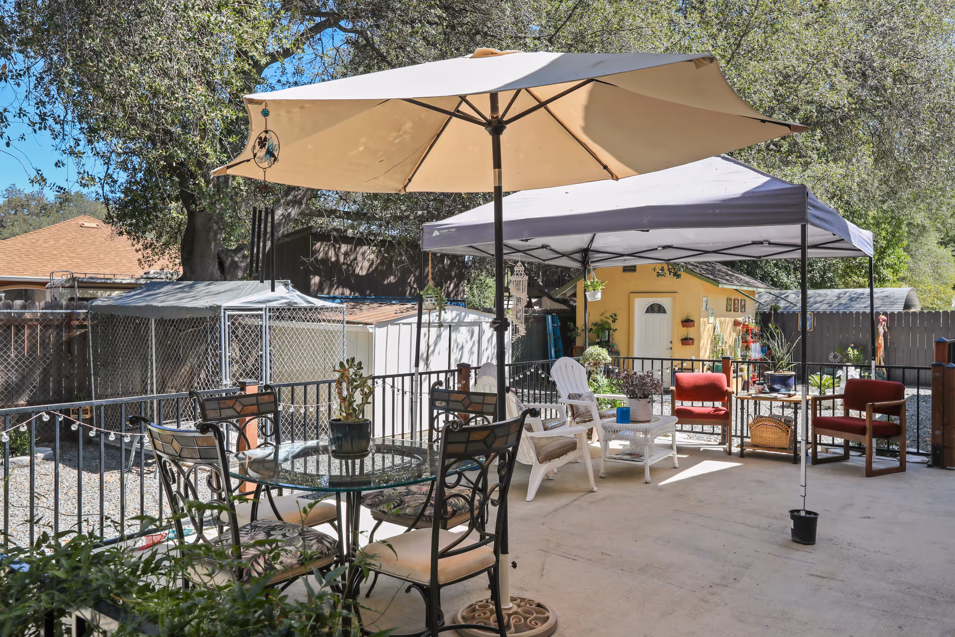 Photo 6 of Citrus Pines Senior Living