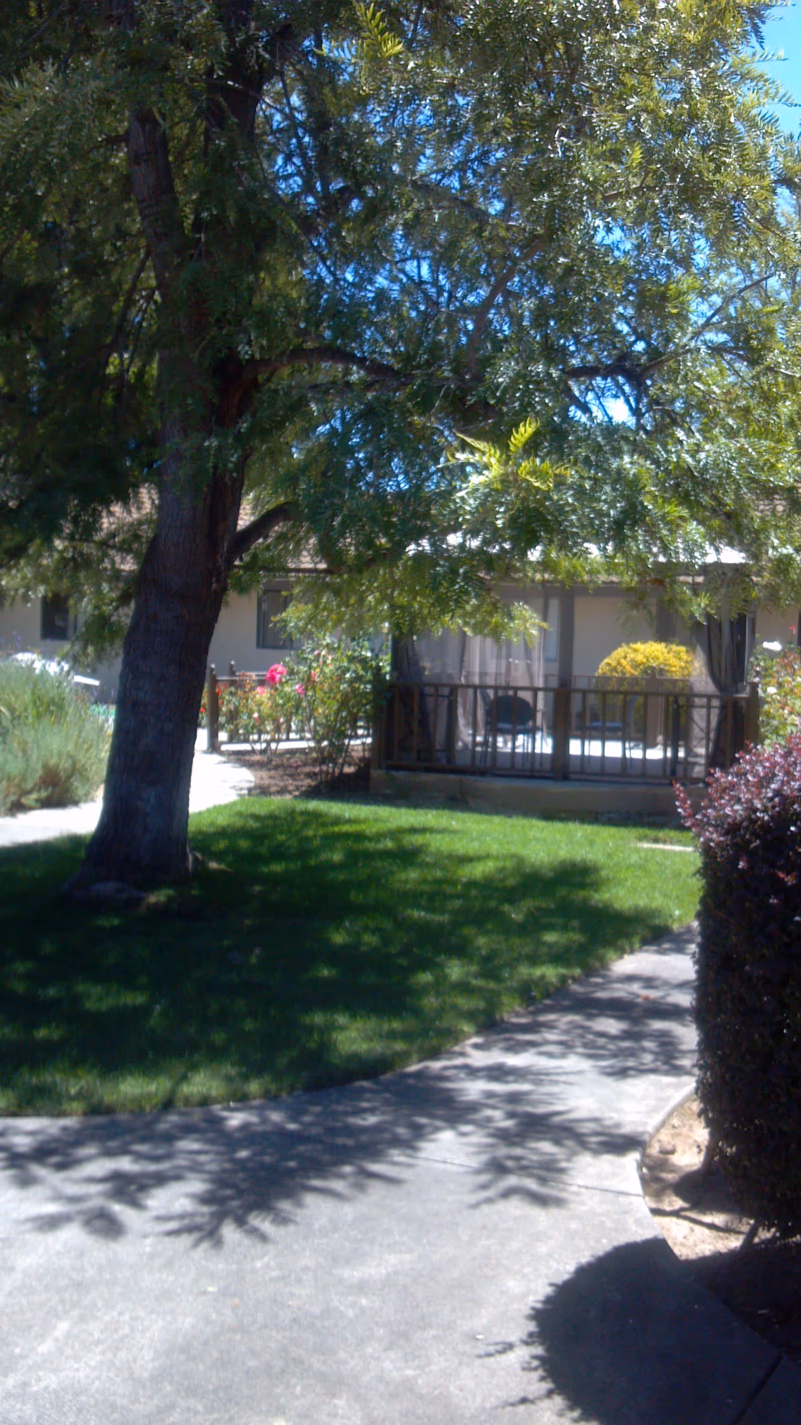 Photo 16 of Nazareth Rose Garden of Napa
