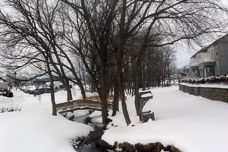 Photo 13 of Homewood Living Plum Creek