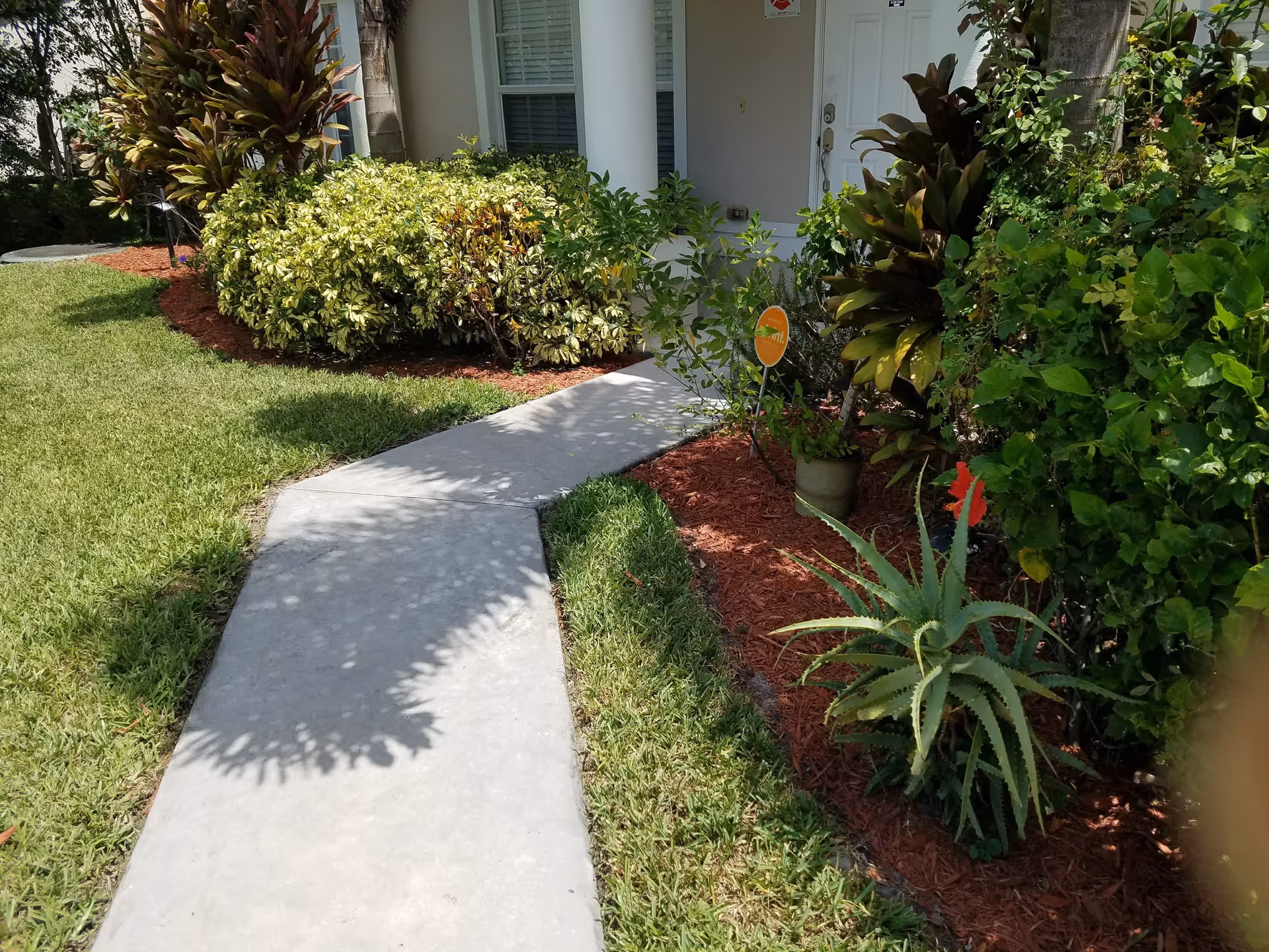 Photo 3 of Alcime Professional Care, LLC