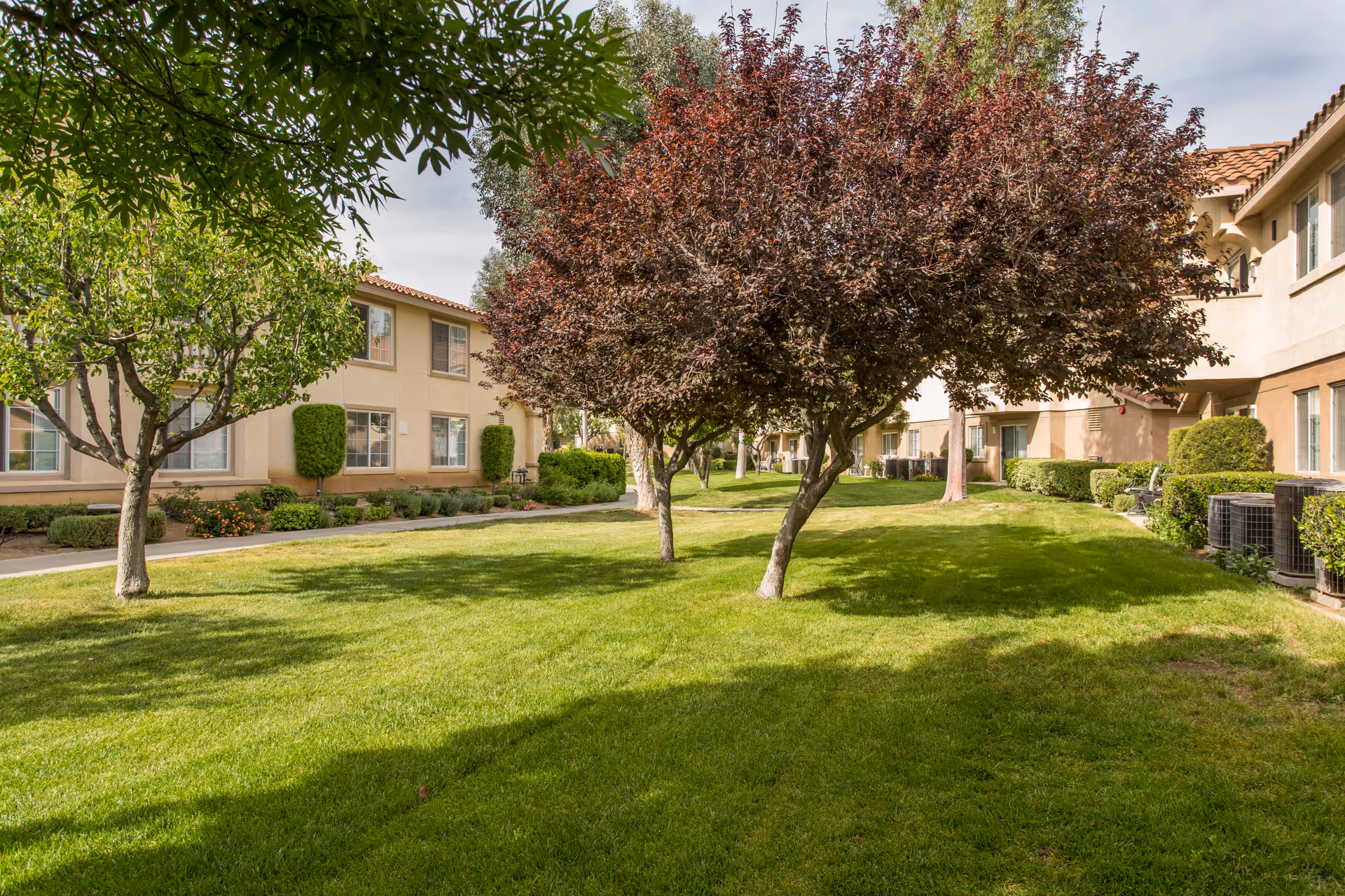 Photo 5 of Wildomar Senior