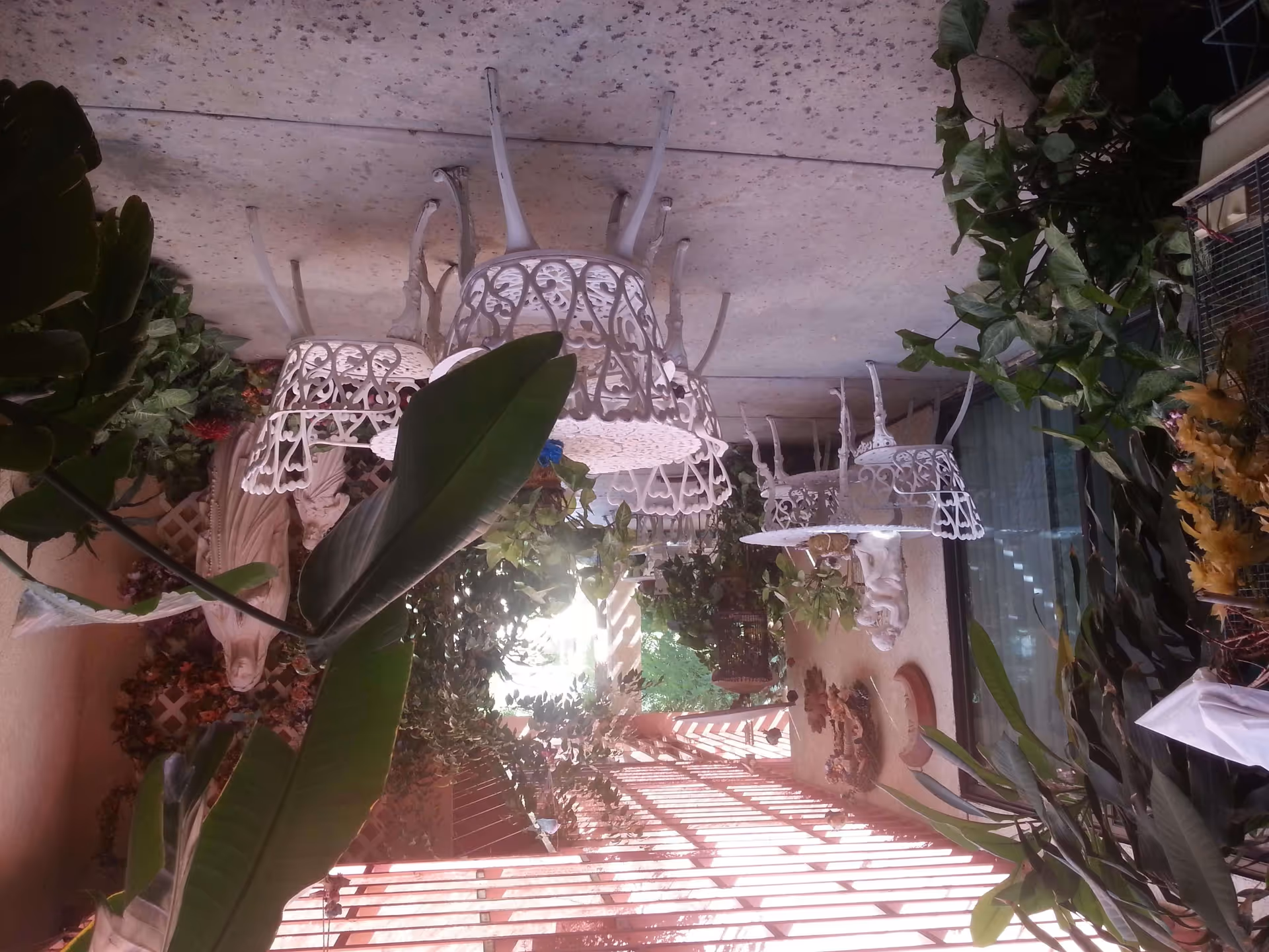 Photo 2 of Carino's Quality Home Care, INC