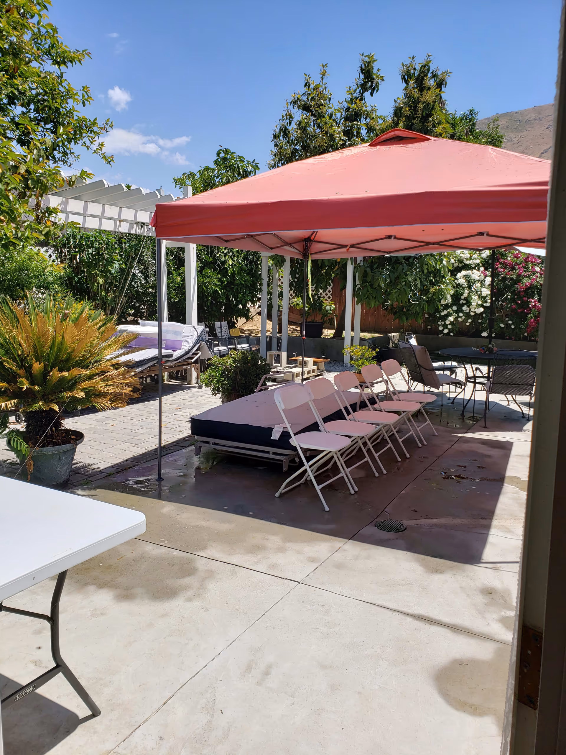 Photo 30 of Terrace Gardens