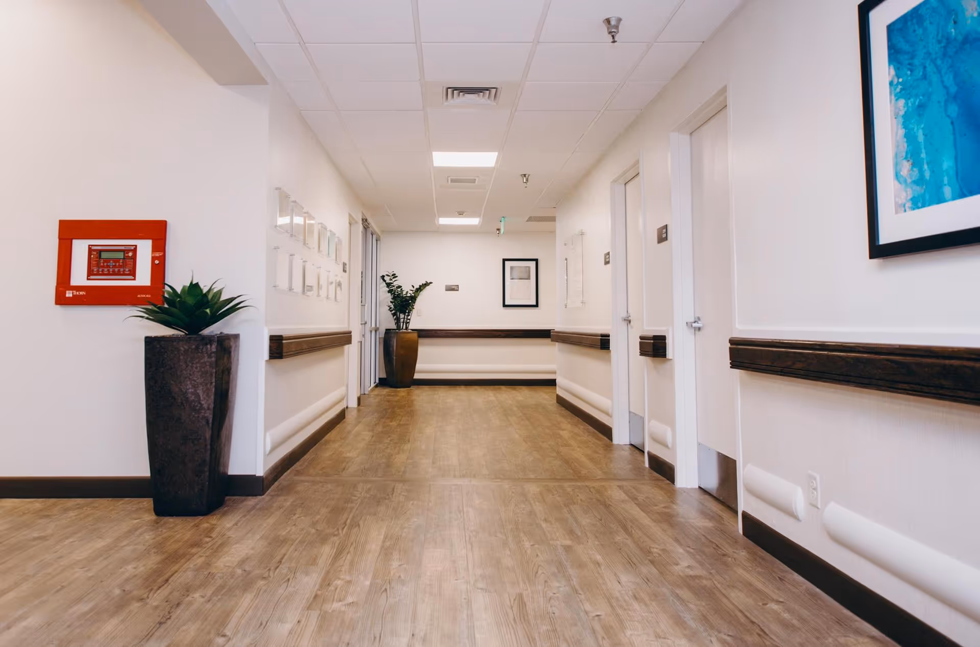 Photo 11 of Haven Health Globe