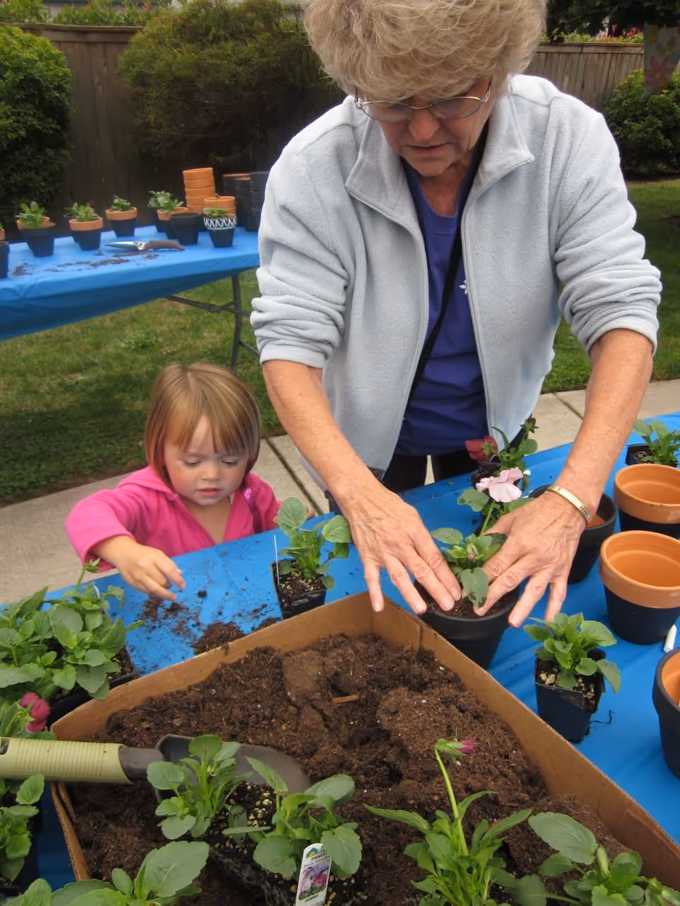 Photo 2 of Chateau Gardens Memory Care